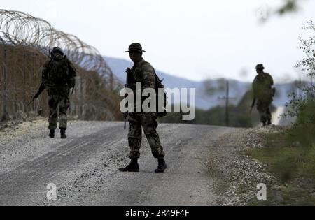 US Navy Weapons Company 3rd Bataillon, 6th Marines, 2nd Marine Division patrouille la ligne de clôture Banque D'Images