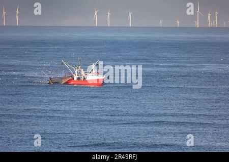 Un couteau avec filets de traînée levés sur la mer du Nord avec des éoliennes en arrière-plan Banque D'Images