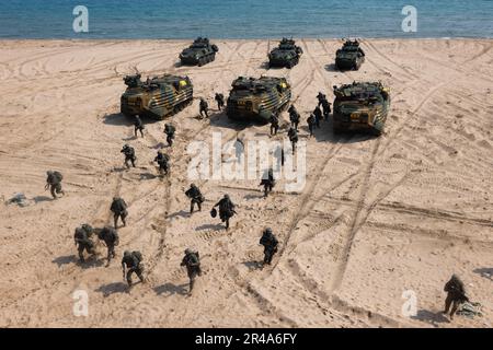 HWAJIN-RI BEACH, République de Corée du Sud (29 mars 2023) – République de Corée Marines et États-Unis Les Marines affectés à l'équipe de débarquement du bataillon 2/4, 13th Marine Expeditionary Unit, effectuent une simulation d'assaut amphibie pendant Ssang Young 23. Célébrant le 70th anniversaire de l’Alliance des États-Unis et de la République de Corée, Ssang Young 2023 renforce l’Alliance par une formation conjointe bilatérale, contribuant à la défense combinée de la République de Corée dans la péninsule coréenne et augmentant la préparation de l’Alliance des États-Unis et de la République de Corée. Banque D'Images