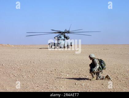 US NAVY A U.S. Marine, affecté au 3rd Bataillon de reconnaissance léger (LAR), assure la sécurité près d'un hélicoptère CH-53E Super Stallion près d'AR Rutbar, en Irak Banque D'Images