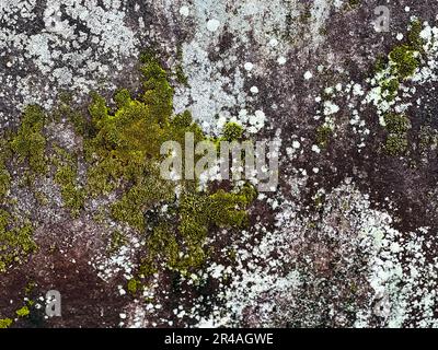 Une grande roche avec de la mousse verte vibrante qui pousse à la surface Banque D'Images