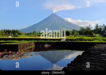 Magnifique paysage pittoresque du volcan Mayon avec réflexion d'eau à Cagsawa, province d'Albay, Philippines avec fumée blanche. Banque D'Images