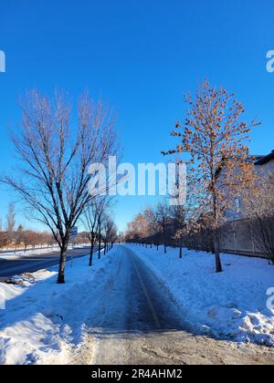 Un paysage d'hiver pittoresque avec une route sinueuse couverte de neige, menant à un groupe d'arbres à distance Banque D'Images