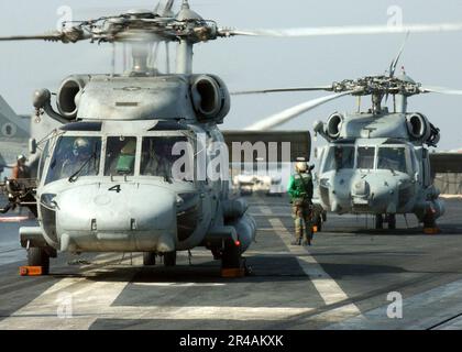 US Navy deux hélicoptères HH-60H Seahawk affectés au Banque D'Images