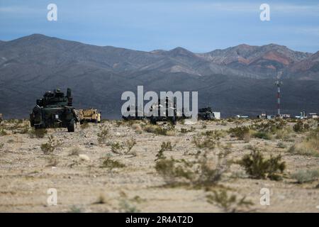 Un groupe de véhicules de combat M2A4 Bradley modernisés, affectés à la Brigade partan, équipe de combat de la Brigade blindée 2nd, 3rd Division d'infanterie, se prépare pour un convoi au Centre national d'entraînement, fort Irwin, Californie, 8 mars 2023. La Brigade Spartan, la brigade la plus moderne de l’Armée de terre, a achevé sa rotation NTC 23-05, ce qui en fait non seulement l’unité la plus équipée mais la plus mortelle de l’arsenal américain alors que l’Armée de terre se dirige vers la construction de l’Armée de terre de 2030. Banque D'Images