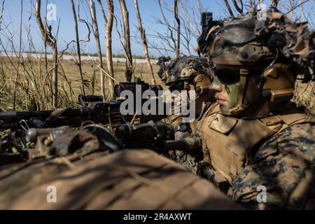 ÉTATS-UNIS Corps maritime le Cpl Griffin Tuthill et le Cpl Gage Killion, tous deux des tireurs de machines avec l'équipe de Bataillon d'atterrissage 1/4, 31st Marine Expeditionary Unit, ont mis en place la sécurité lors d'un exercice de raid en hélicoptère sur IE Shima, Okinawa (Japon), le 31 janvier 2023. Les Marines de BLT 1/4 ont été chargées de capturer et de sécuriser des points objectifs des forces ennemies simulées pendant l'exercice. Le MEU 31st opère à bord de navires du groupe de préparation amphibie USS America dans la zone d'opérations de la flotte 7th pour améliorer l'interopérabilité avec les alliés et les partenaires et servir de force de réaction prête à défendre la paix Banque D'Images