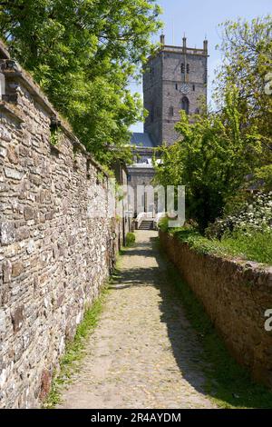 Cathédrale St Davids, St Davids, Pembrokeshire, West Wales Banque D'Images