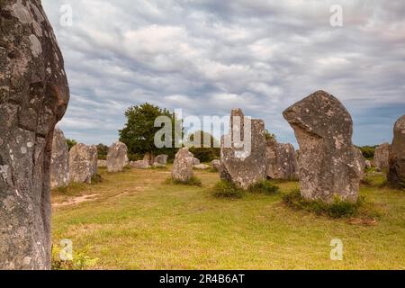 Rangées de pierres mégalithiques de Kerzerho, commune d'Erdeven, département du Morbihan, Bretagne, France Banque D'Images