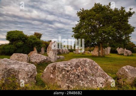 Rangées de pierres mégalithiques de Kerzerho, commune d'Erdeven, département du Morbihan, Bretagne, France Banque D'Images