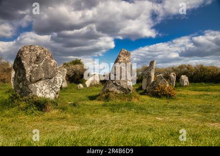 Rangées de pierres mégalithiques de Kerzerho, commune d'Erdeven, département du Morbihan, Bretagne, France Banque D'Images