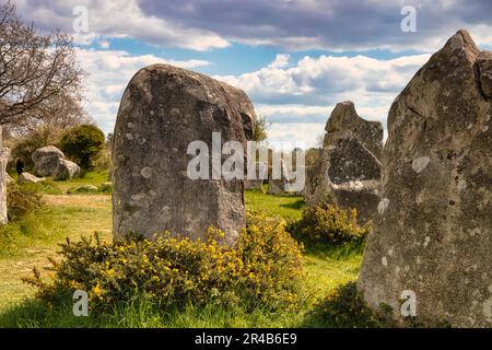 Rangées de pierres mégalithiques de Kerzerho, commune d'Erdeven, département du Morbihan, Bretagne, France Banque D'Images