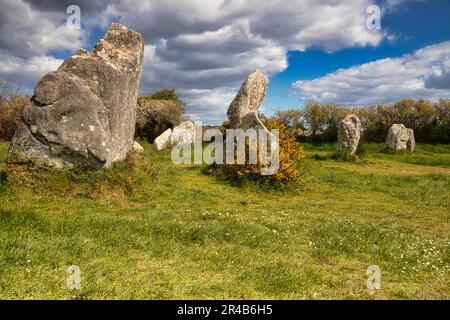 Rangées de pierres mégalithiques de Kerzerho, commune d'Erdeven, département du Morbihan, Bretagne, France Banque D'Images