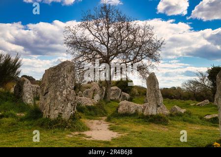 Rangées de pierres mégalithiques de Kerzerho, commune d'Erdeven, département du Morbihan, Bretagne, France Banque D'Images