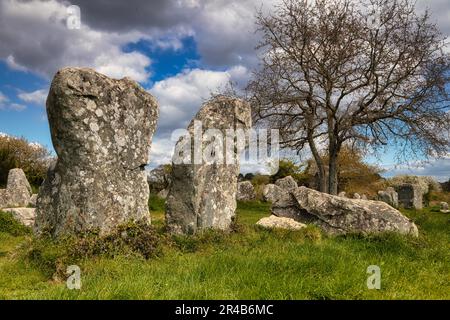 Rangées de pierres mégalithiques de Kerzerho, commune d'Erdeven, département du Morbihan, Bretagne, France Banque D'Images