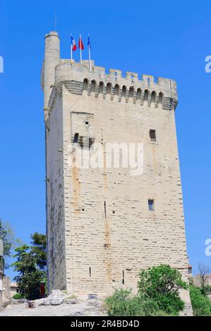 Tour fortifiée Philippe le Bel, Villeneuve les Avignon, Gard, Languedoc-Roussillon, Sud de la France, Visite de Philippe le Bel Banque D'Images