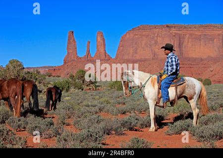 Navajo cowboy, Mustang, Monument Valley, Utah, États-Unis, Amérindien, américain indien Banque D'Images