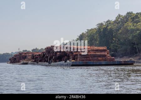 Ferry utilisé pour le transport fluvial de grumes extraites d'une zone de forêt amazonienne brésilienne. Banque D'Images