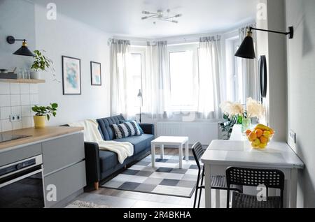 Ce petit studio moderne de style scandinave est décoré dans des tons de blanc et de gris, avec un mobilier dans le coin salon et un coin cuisine Banque D'Images