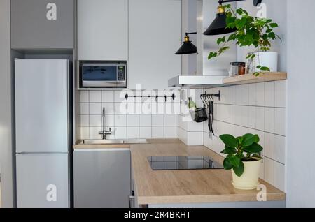 Cuisine scandinave moderne et élégante avec accessoires de cuisine. Cuisine blanche et grise lumineuse avec articles ménagers dans un studio Banque D'Images