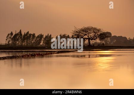 Coucher de soleil dans le lac de Dong Mo, son Tay, capitale de Ha Noi, Vietnam Banque D'Images