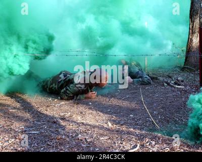 US Navy U.S. Classe Marine Master-at-Arms 2nd et classe Air Force Airman 1st les deux élèves de la classe Air Force Phoenix Raven 06-D ici, rampent à travers la fumée Banque D'Images