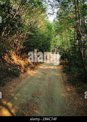 Cette photo de stock capture la beauté tranquille d'une petite route de terre de campagne, soigneusement entretenue et bordée de grands arbres et arbustes Banque D'Images