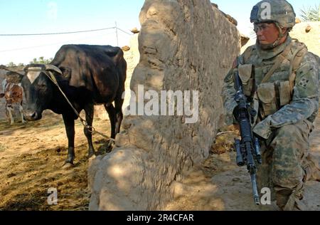 US Navy U.S. Force militaire de 1st Bataillon, 68th Combined Arms Regiment, 3rd Heavy Brigade combat Team, 4th Infantry Division, garde pendant un raid près de Tafaria, Irak. Banque D'Images