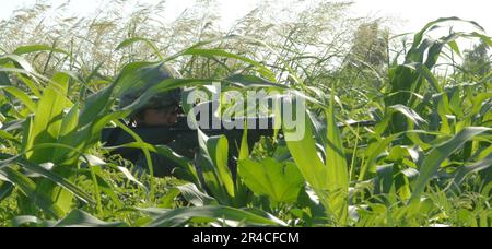 US NAVY A U.S. Soldat de l'armée du 1st Bataillon, 68th Régiment d'armes combinées, 3rd Force de combat de la brigade lourde, 4th Division d'infanterie tient la garde dans un champ près de Tafaria, Irak. Banque D'Images
