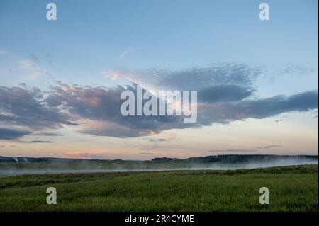 Du brouillard est suspendu dans l'air au-dessus de la rivière Yellowstone dans la vallée de Hayden Banque D'Images