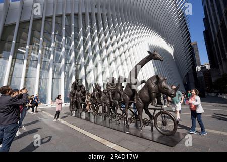 De grandes sculptures de divers animaux menacés par les artistes Gillie et Marc sont exposées sur le South Oculus Plaza du World Trade Center Campus à Lower Manhattan, dans la ville de New York. Collectivement intitulé « A Wild Li for Wildlife in New York ». 27 mai 2023 (photo: Vanessa Carvalho) crédit: Brésil photo presse/Alamy Live News Banque D'Images