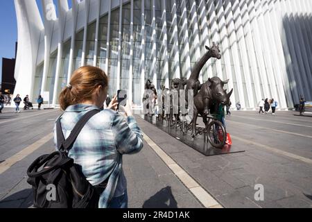 De grandes sculptures de divers animaux menacés par les artistes Gillie et Marc sont exposées sur le South Oculus Plaza du World Trade Center Campus à Lower Manhattan, dans la ville de New York. Collectivement intitulé « A Wild Li for Wildlife in New York ». 27 mai 2023 (photo: Vanessa Carvalho) crédit: Brésil photo presse/Alamy Live News Banque D'Images