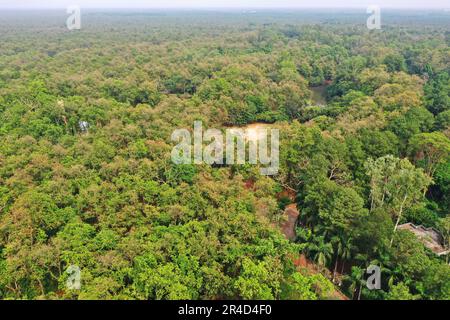 Gazipur, Bangladesh - 25 mai 2023 : le parc national Bhawal est une réserve naturelle et le parc national du Bangladesh. Chaque endroit de ce jardin couvert W Banque D'Images