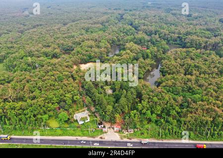 Gazipur, Bangladesh - 25 mai 2023 : le parc national Bhawal est une réserve naturelle et le parc national du Bangladesh. Chaque endroit de ce jardin couvert W Banque D'Images