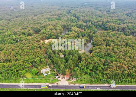 Gazipur, Bangladesh - 25 mai 2023 : le parc national Bhawal est une réserve naturelle et le parc national du Bangladesh. Chaque endroit de ce jardin couvert W Banque D'Images