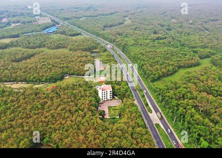 Gazipur, Bangladesh - 25 mai 2023 : le parc national Bhawal est une réserve naturelle et le parc national du Bangladesh. Chaque endroit de ce jardin couvert W Banque D'Images