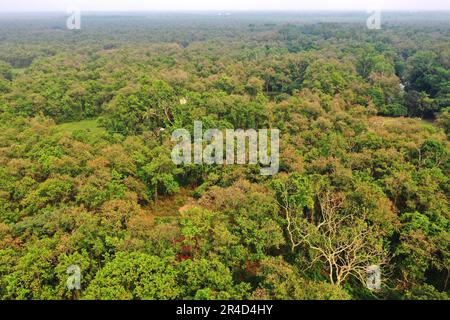 Gazipur, Bangladesh - 25 mai 2023 : le parc national Bhawal est une réserve naturelle et le parc national du Bangladesh. Chaque endroit de ce jardin couvert W Banque D'Images