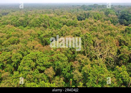 Gazipur, Bangladesh - 25 mai 2023 : le parc national Bhawal est une réserve naturelle et le parc national du Bangladesh. Chaque endroit de ce jardin couvert W Banque D'Images