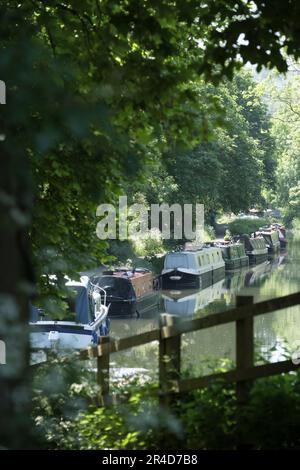 Le canal du charbon du vieux somerset Monkton Combe près de Bath, Royaume-Uni Banque D'Images