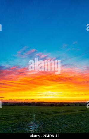 Ciel bleu vif, jaune et rouge à l'aube sur les champs et le paysage du Kent pendant l'hiver. Champ avec chemin menant aux haies, arbres et champs. Banque D'Images