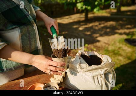 Gros plan écofermier, agriculteur amateur mettant le sol noir fertilisé dans des pots de tourbe. Semis de printemps et jardinage. Banque D'Images