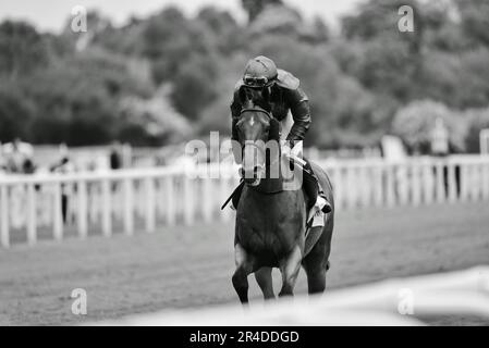 Siskany et William Buick Banque D'Images