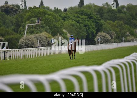 Siskany et William Buick Banque D'Images