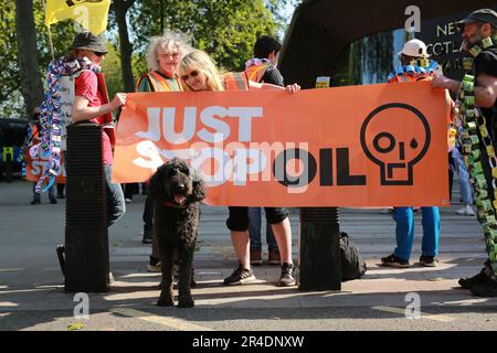 Londres, Royaume-Uni. 27 mai 2023. Les partisans de Just Stop Oil manifestent lors de la manifestation Not My Bill devant le New Scotland Yard à Londres. Credit: Waldemar Sikora/Alay Live News Banque D'Images