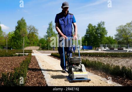 Bad Bentheim, Allemagne - 5 mai 2023 un employé d'une entreprise d'aménagement paysager vibre le sable d'un nouveau chemin avec un compacteur Banque D'Images