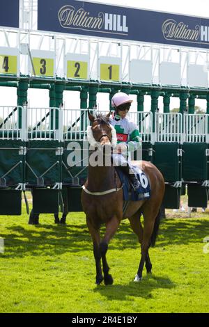 York, Royaume-Uni. 27th mai 2023. Jockey Jason Hart sur Zarzyni avant le début d'une course aux courses de York. Crédit : Ed Clews/Alay Live News. Banque D'Images