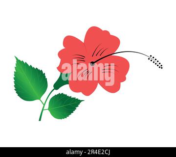 Modèle de vecteur de conception Java Flower Illustration de Vecteur