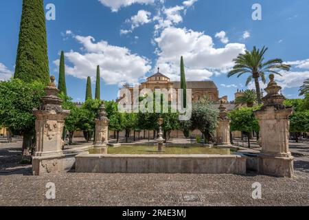 Patio de los Naranjos Cour et fontaine Santa Maria à la Mosquée–Cathédrale de Cordoue - Cordoue, Andalousie, Espagne Banque D'Images