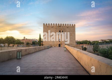 Pont romain de Cordoue au lever du soleil avec la Tour Calahorra - Cordoue, Andalousie, Espagne Banque D'Images