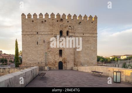 Tour de Calahorra au lever du soleil - Cordoue, Andalousie, Espagne Banque D'Images