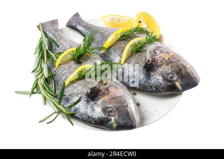 dorado de poisson frais et ingrédients pour la cuisine, citron, poivre et romarin dans une assiette isolée Banque D'Images